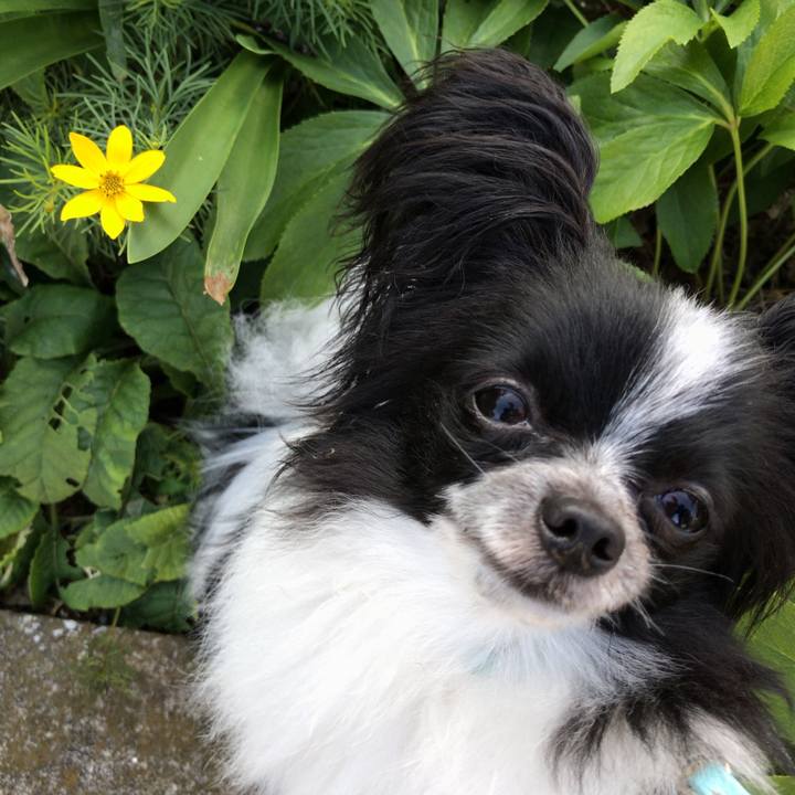 1d1c1f06 7b21 4df8 93a2 b54eb3802509