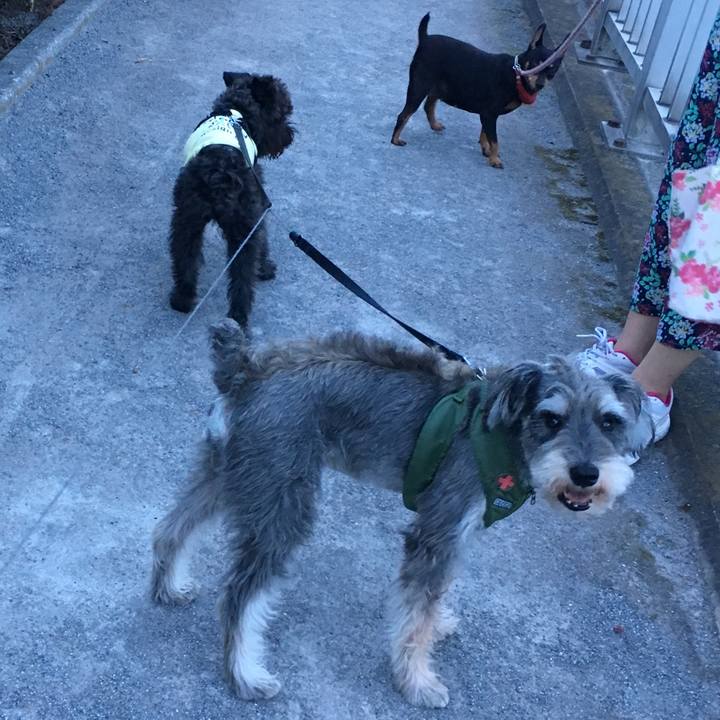 1d1c5ff8 f206 43e6 9b98 1447a7c06dc6