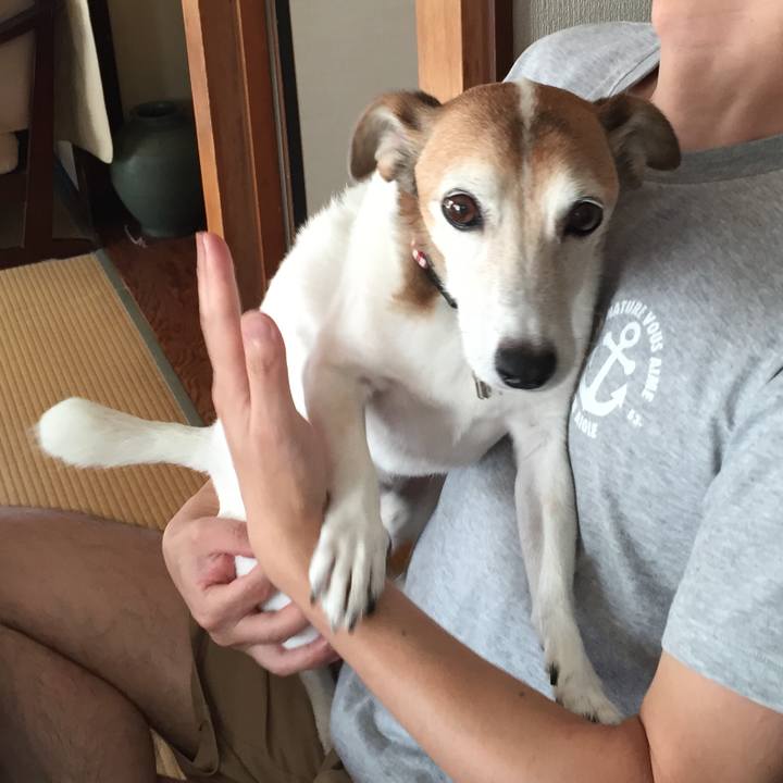 1d1cc44a edfb 4452 ad6a cd790765b7a0