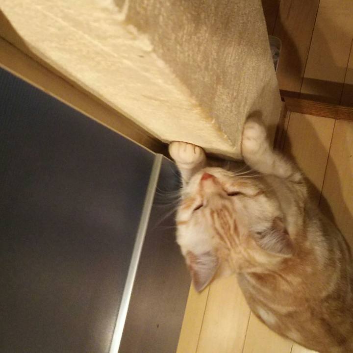 1d1d2ba9 902a 4908 a27e 72cf9dec8f1a