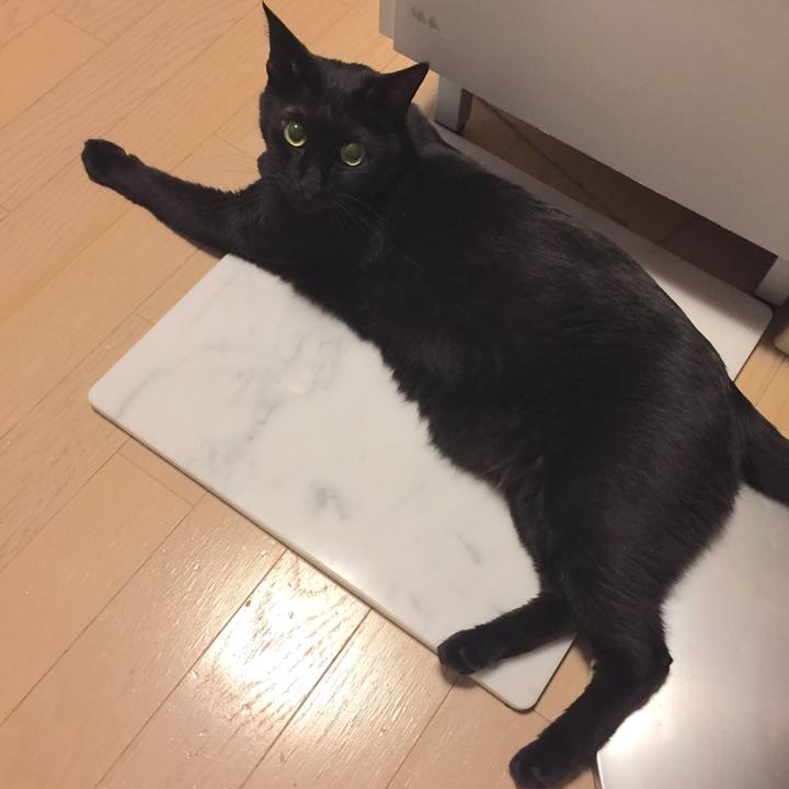 1d1dcb09 4757 41d5 8c10 123cdebc693d