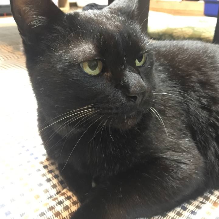 1d1e2471 8c5f 409b b2da 5cbb9337371d