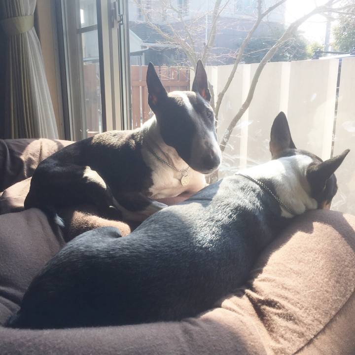 1d1e3c1c 5883 4e0a b0e1 59e94ad192fe