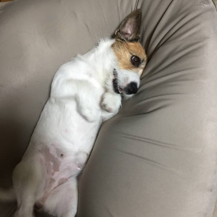 1d1eee90 900f 4f00 b815 59c88fc4e091