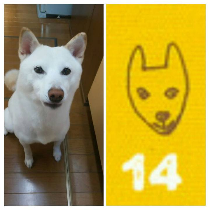 1d1ef99c 72a8 4451 ad96 d11e4936d5e5