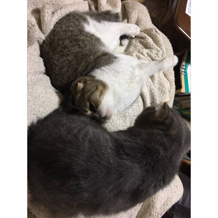 1d1fd2ba 55ce 457d 9a31 d67d3935d6c1