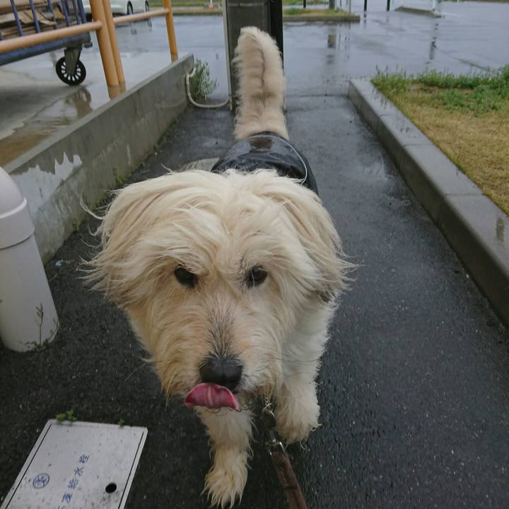 1d207710 12f7 4677 8730 8cff44ac8c91