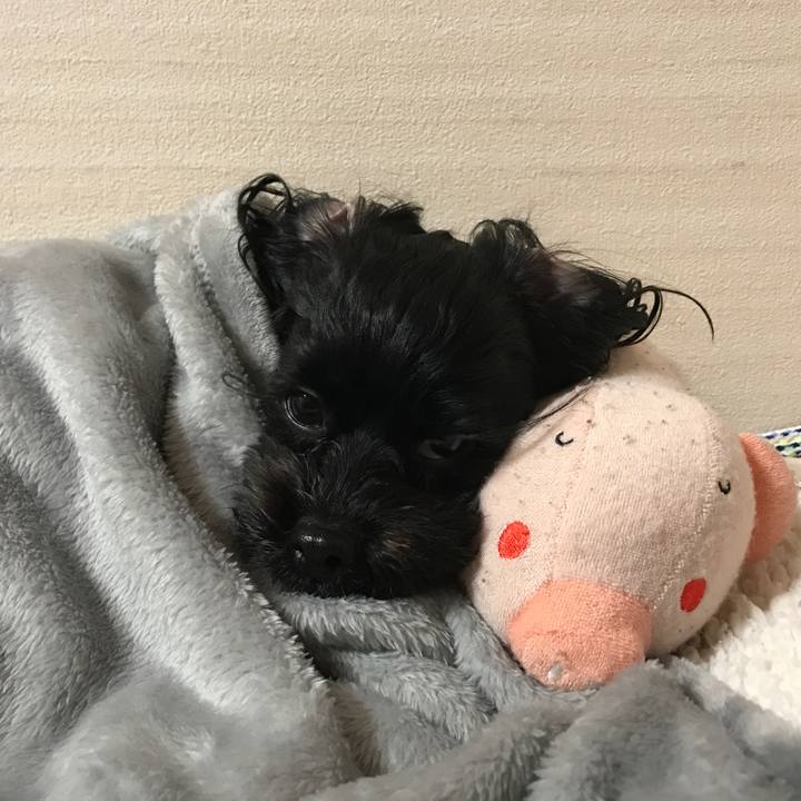 1d209d65 5b9d 4aa9 bc45 aa4dc02e2310