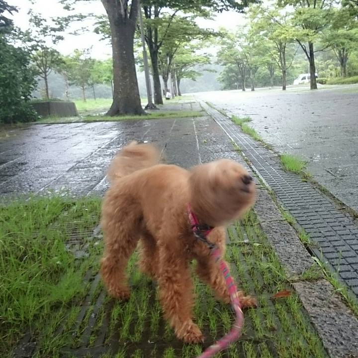 1d20a2e5 0ab5 4d6e 8f98 e755ae64d239