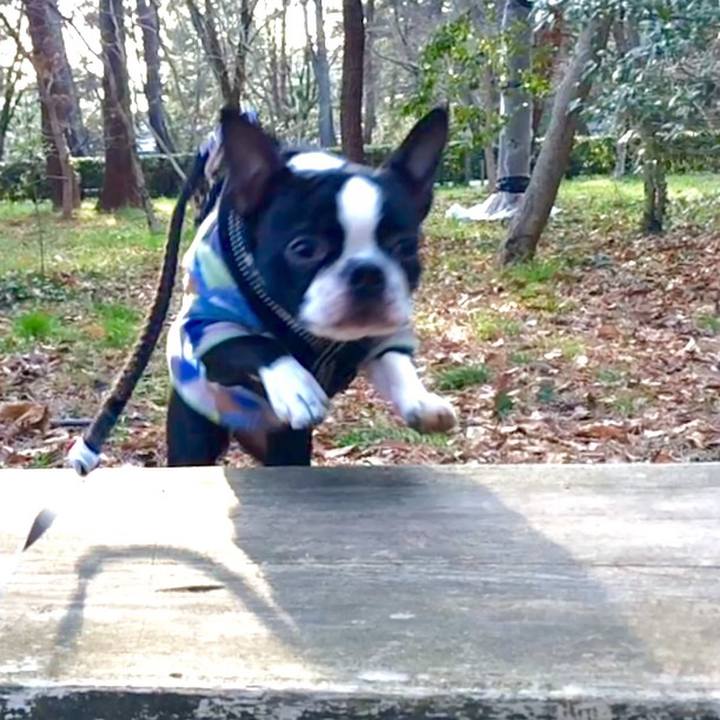 1d20e986 47f0 4028 a3e3 22d8d678f6f8