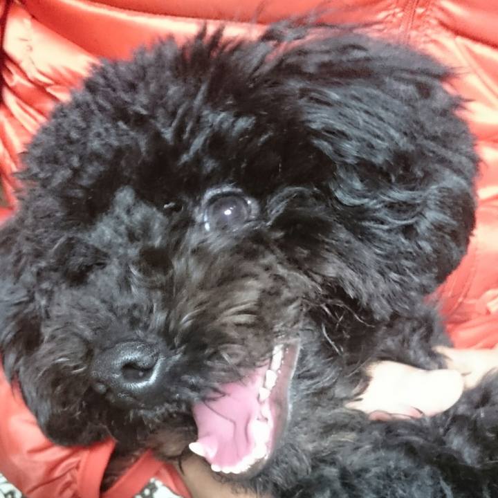 1d214b0e 55c4 46a1 b967 b16751ea79ab