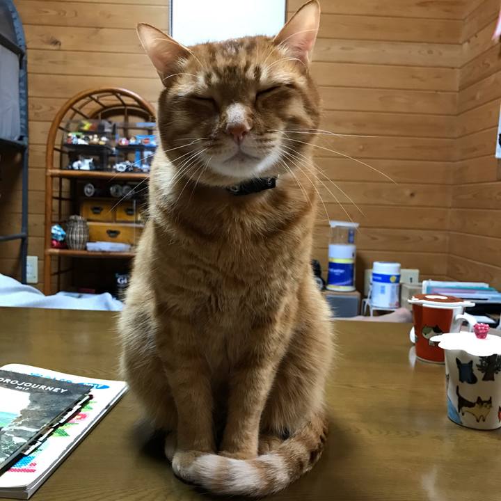 1d218830 a39a 4609 86a6 ee988f3e7038