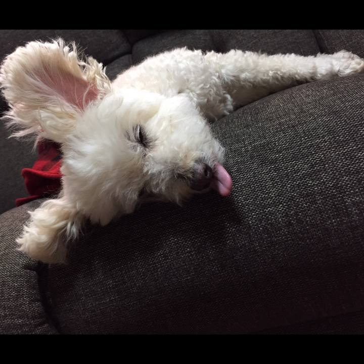 1d21a894 a6b2 4407 bd2e fc87b4f4389f