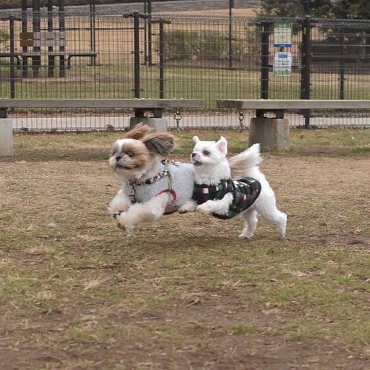 1d221299 8094 4c39 bbeb 5a61cfe2ddf1