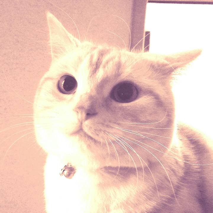 1d22272a ae77 4a3b b6ec f4361b919a69