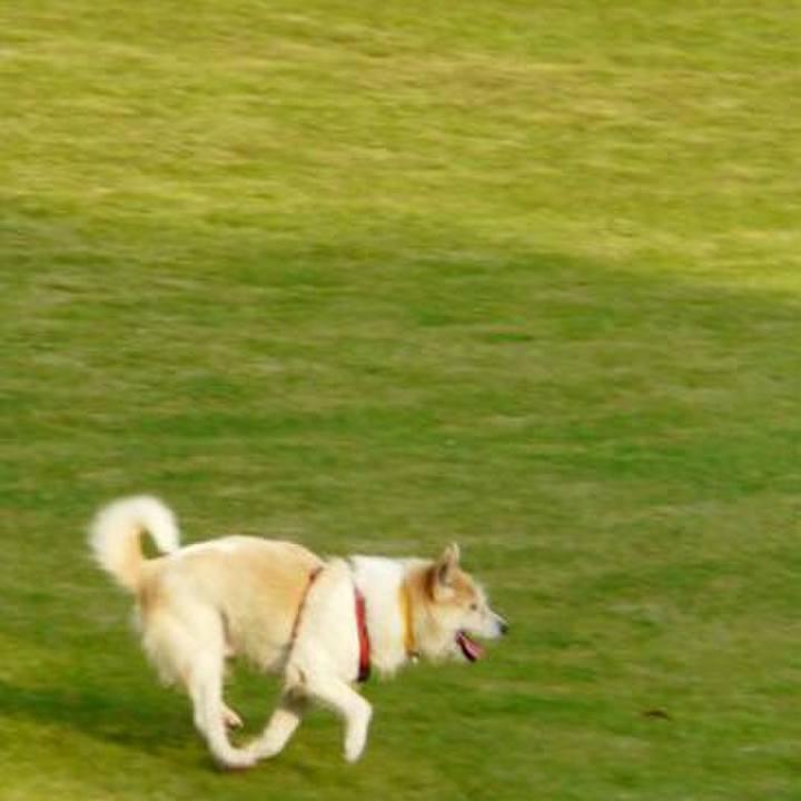 1d2235bf 74c2 4440 8b10 a36fb23e6263