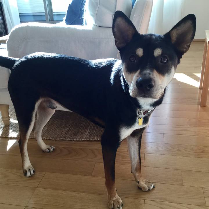 1d228c69 29e3 4d50 9d55 38fa5fb5f81c