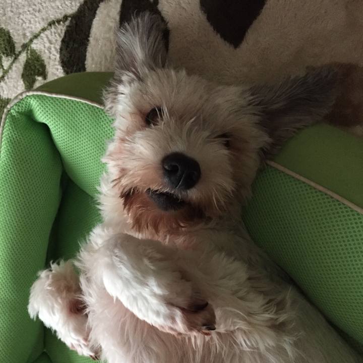 1d22b813 901b 4114 aecd 54138637a820