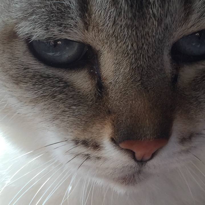 1d23b18d 1a4f 4b86 9fd8 63bfdf678dc8