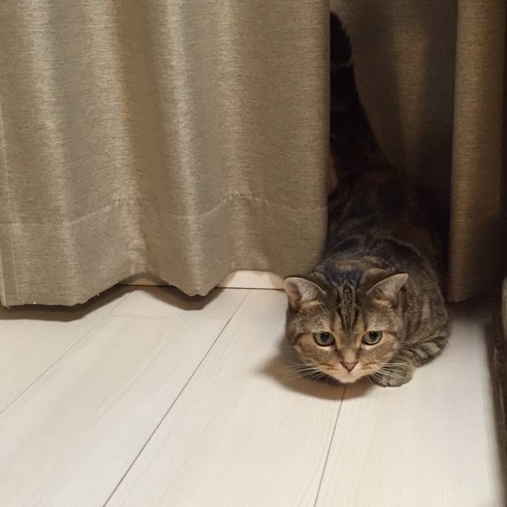 1d23fe0e 8034 4978 a88c 1cf3b48f9983