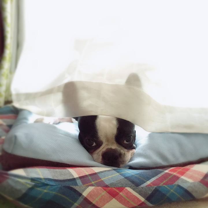 1d2405ce 24a1 40c4 9212 0ae3fe24f923