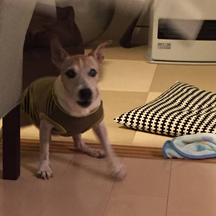 1d24f5bf c8f0 45ba a461 18ccedd01ce1