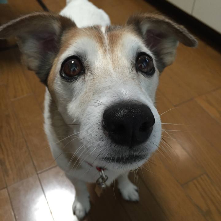 1d2545ce 9967 4d9c a363 b978d15f4714