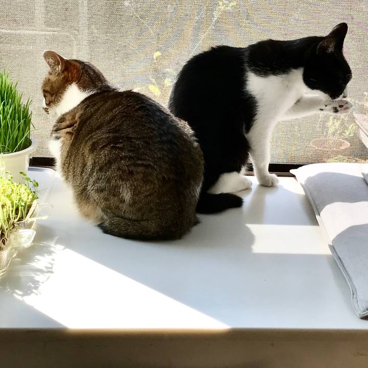 1d25e431 913d 4e61 84fb f138d167c059