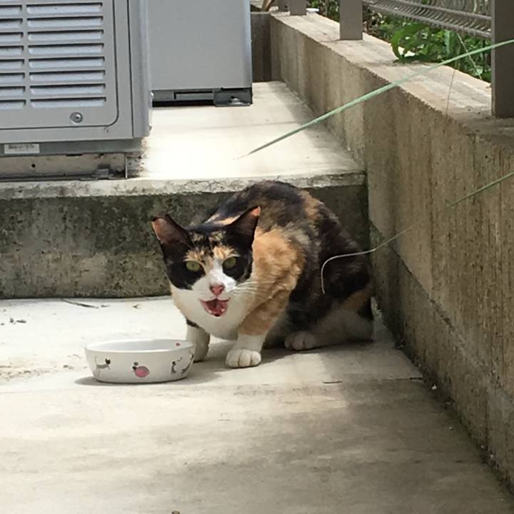 1d25ef93 4d20 4521 9bc2 67184d479507