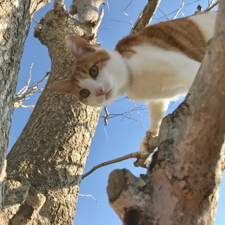 1d26497d 20e7 4131 902e d2effa651a2c