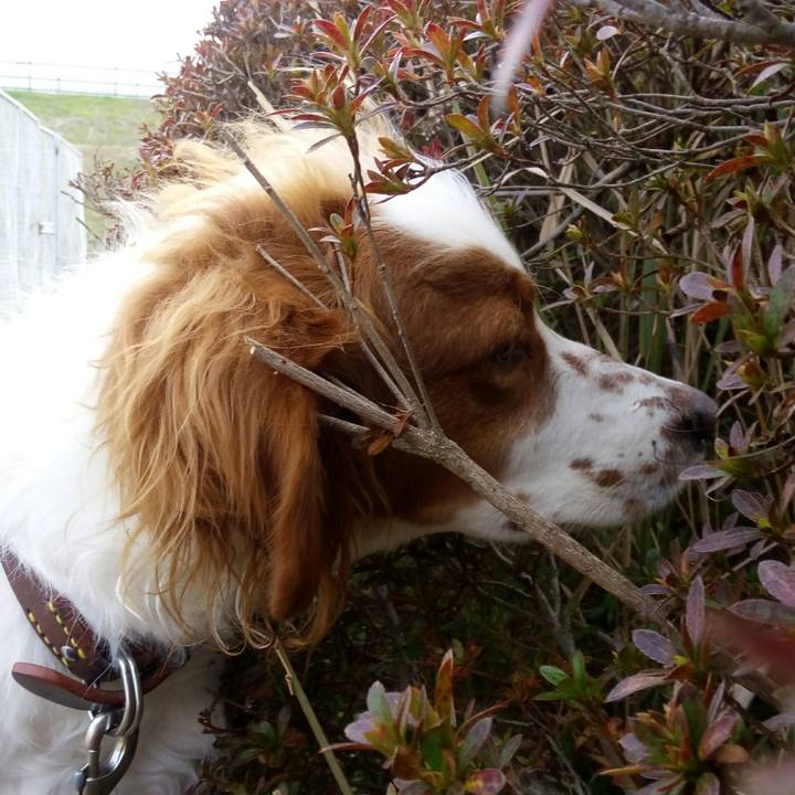 1d269e93 910c 4c97 bc92 302a86e8ad65