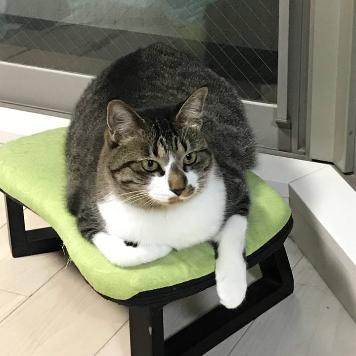 1d26ada6 9b63 499a 93d6 c9455351b3e1