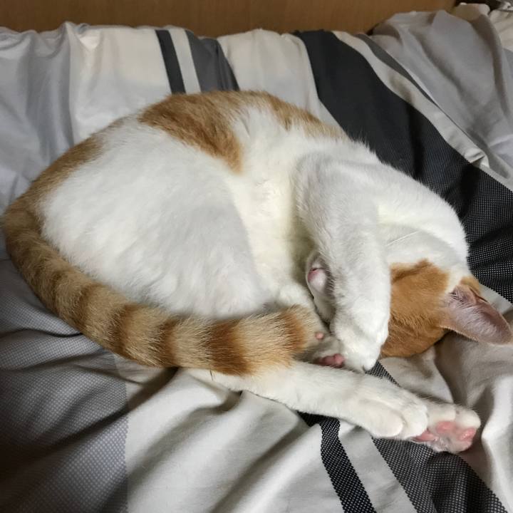 1d270132 10c2 408a 916c 622542dcf734