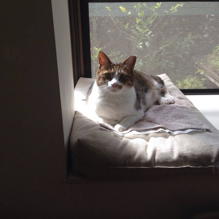 1d271c43 b769 4016 a704 51c0bf80451c