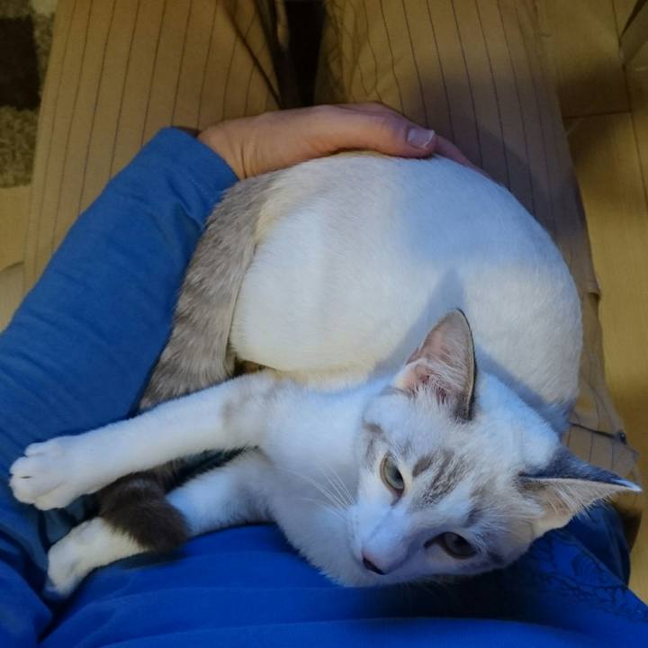 1d273380 6455 4466 8f9c d352c1c49bf1