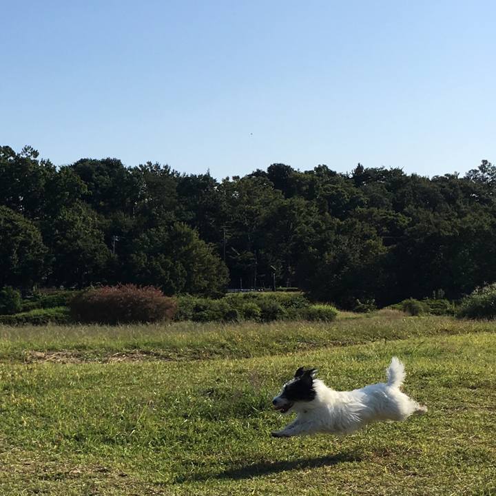 1d277a7c a116 41d9 9bf4 a5a63641a74d