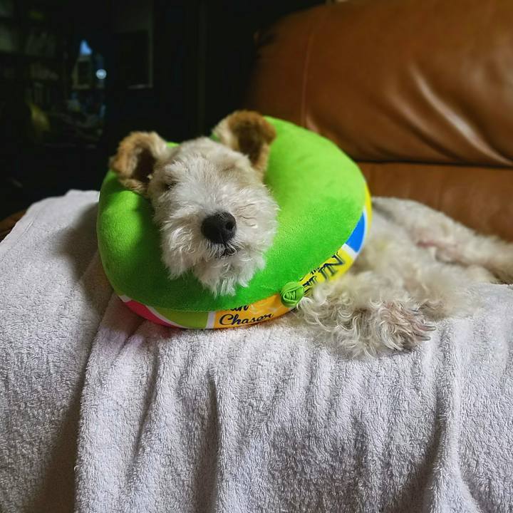 1d280be0 241e 4890 8605 e4cc5c87a2ff