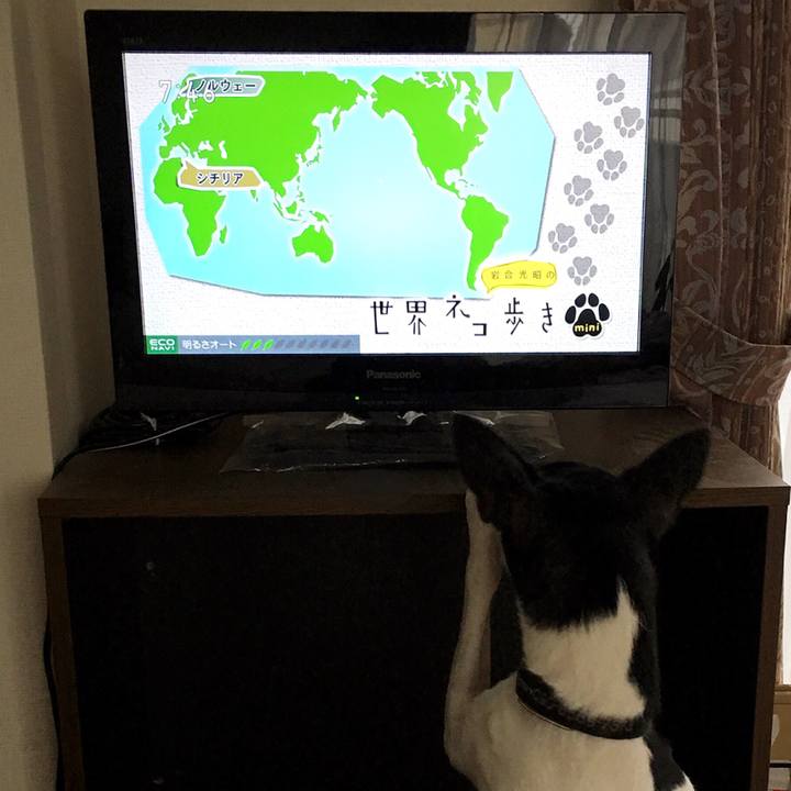 1d28e18a cfc3 40be 8c50 9c7f045924cf