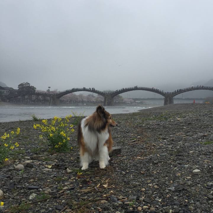 1d28e53e 0987 4108 84cb 75a7fffa8522