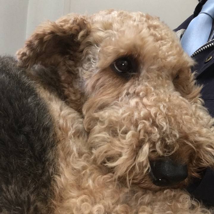 1d28e6da d359 4d6a 9967 b94ec62c4839