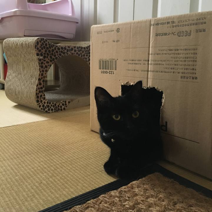 1d297731 d880 4178 95f9 cead72d5b085