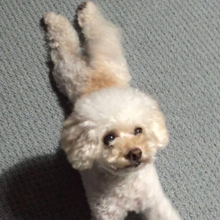 1d298810 293e 4342 afbb 6a497792b581