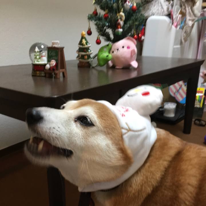 1d29b79c 7702 4256 994c 9ddecb5bddbe