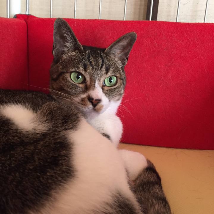 1d2a179c bcfd 435a 9a4e ca4197ef766c