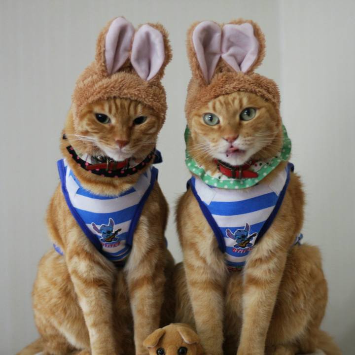 1d2a57df f465 4775 811f 7010b5f2d4ab