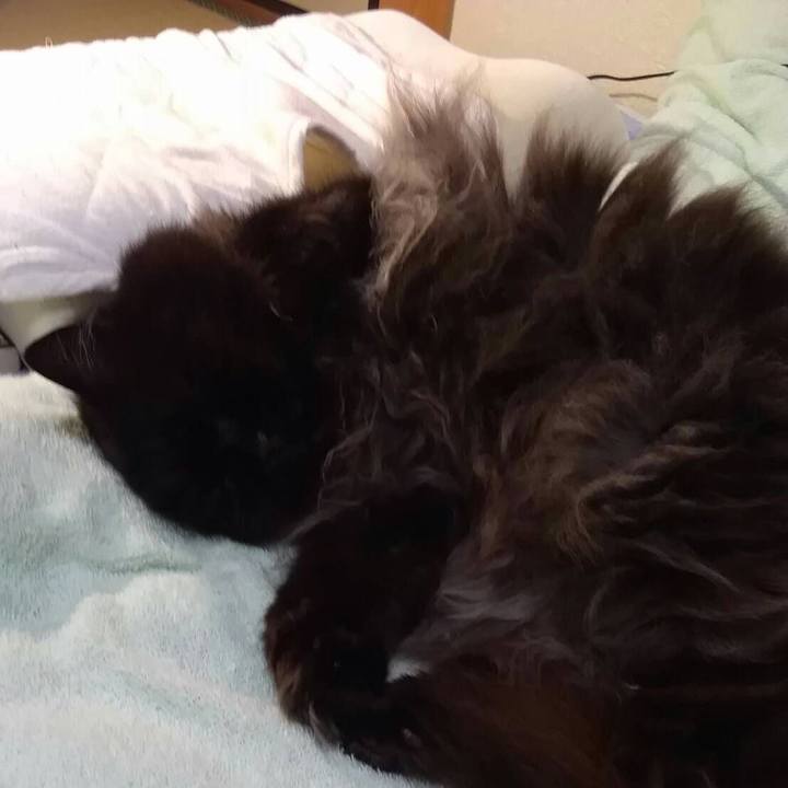 1d2acb97 9f3c 4910 9f04 22b3b4492242