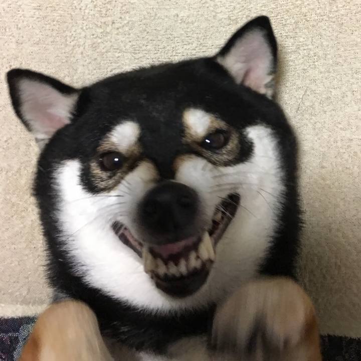 1d2b5d60 1db3 456f b83e 872b72bab14f