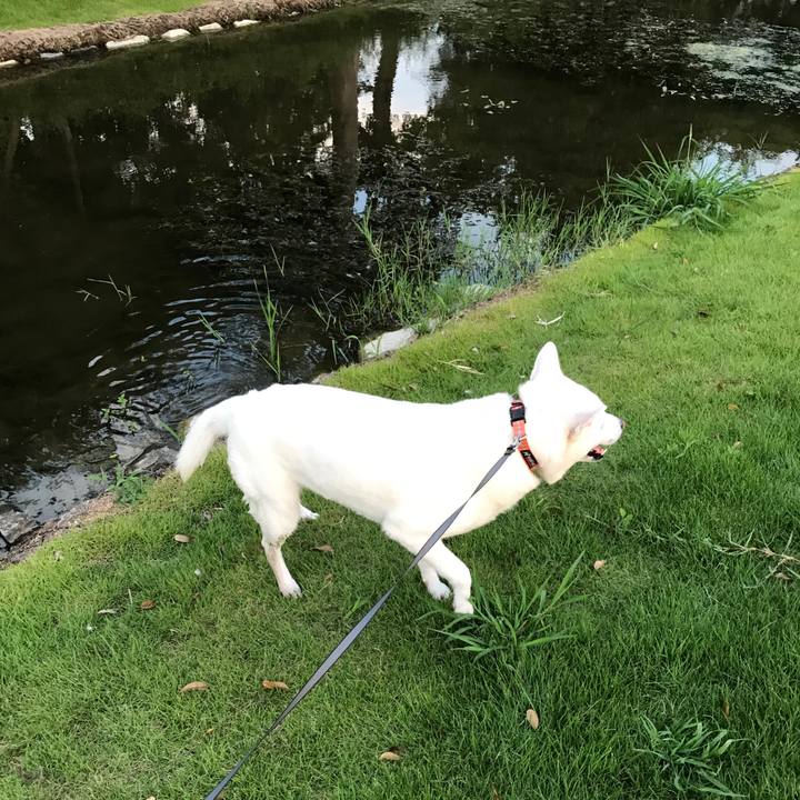 1d2cb068 b3f7 4463 bb29 8289aca22c3b