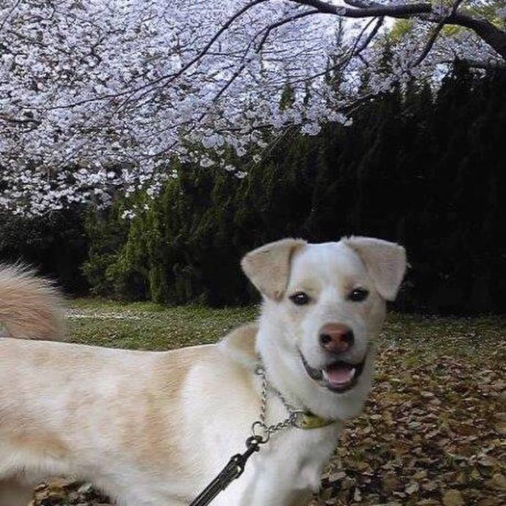 1d2cbf0f 140a 4a80 8cef 3d159abfdbc1