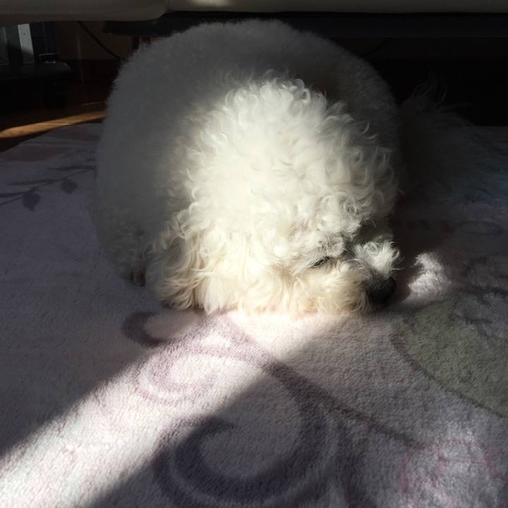 1d2d3302 0bf3 4477 89ee 29a1c2adf5e6